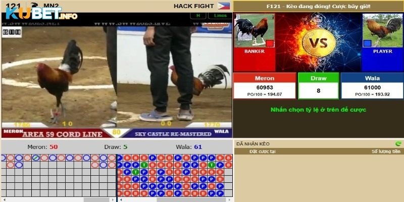 Cách đặt cược đá gà tại Kubet dễ hiểu cho tân binh