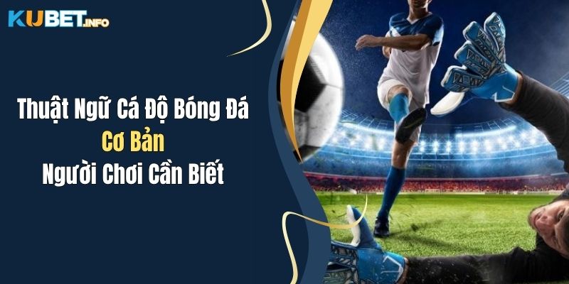 Thuật Ngữ Cá Độ Bóng Đá Cơ Bản Người Chơi Cần Biết